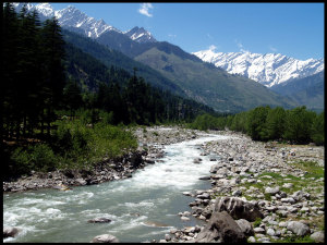 River in Manali